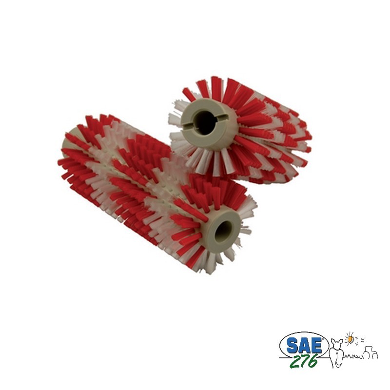 BROSSE ROBOT LELY