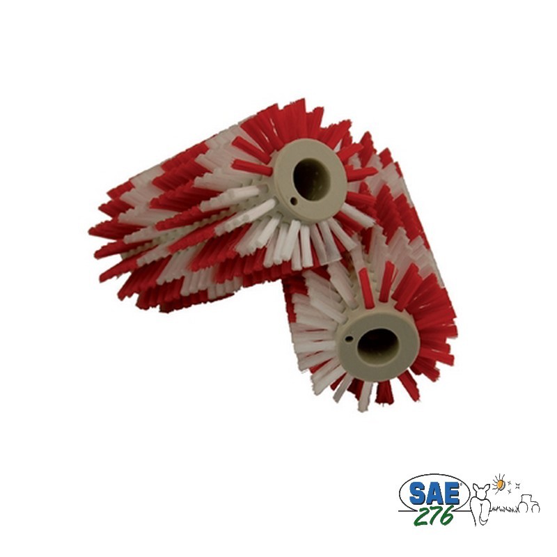BROSSE ROBOT LELY